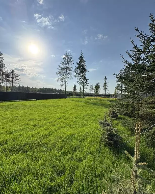 Участок в Московская область, Клин городской округ, Ели Эстейт ... - Фото 2