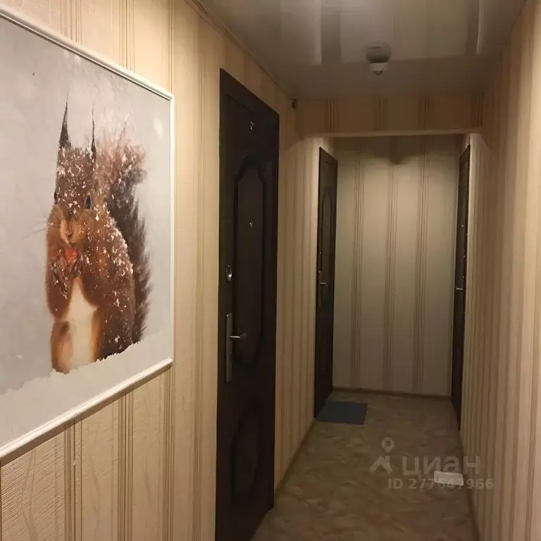 Комната Алтайский край, Барнаул ул. Антона Петрова, 241 - Фото 1