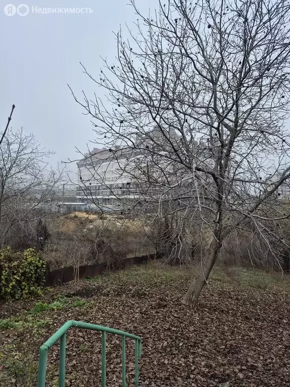 Дом в Волгоград, Закарпатская улица (46.3 м) - Фото 2