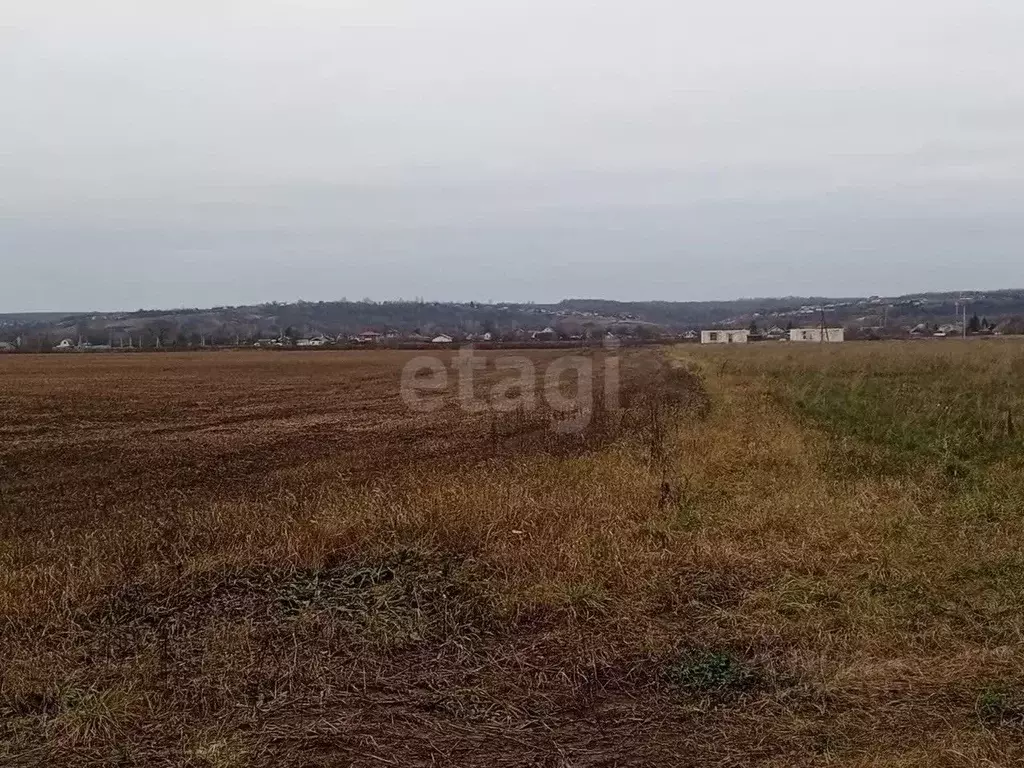 Участок в Курская область, Курский район, Моковский сельсовет, д. ... - Фото 1