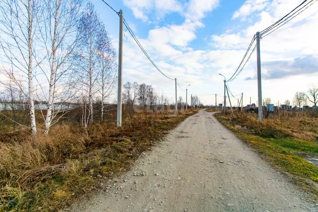 Участок в Новосибирская область, Новосибирский район, Кудряшовский ... - Фото 1