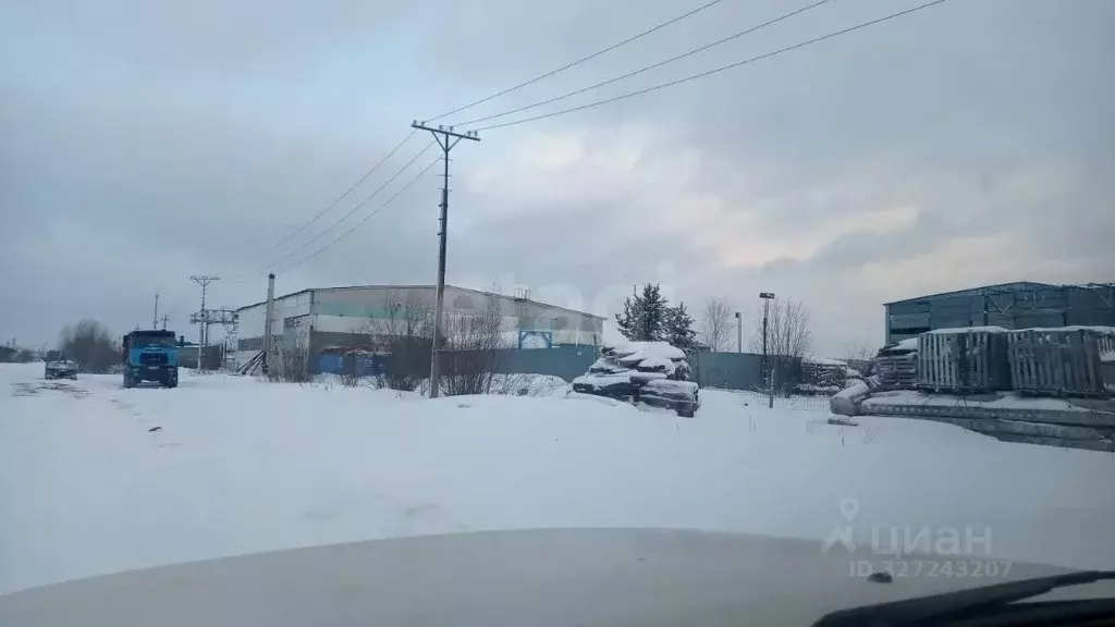 Склад в Ямало-Ненецкий АО, Ноябрьск Промузел Пелей кв-л, 11-я панель, ... - Фото 2