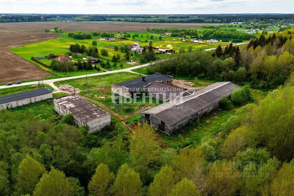 Помещение свободного назначения в Ленинградская область, Волосовский ... - Фото 1