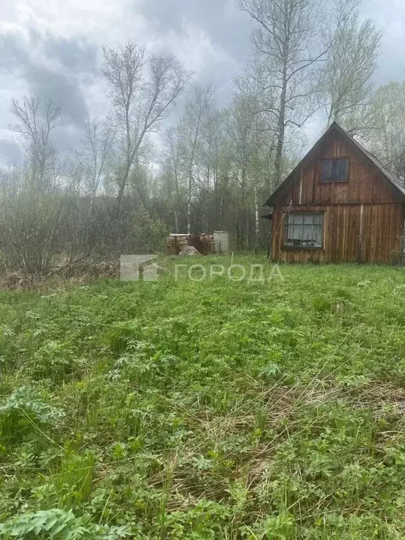 Участок в Новосибирская область, Новосибирский район, Барышевский ... - Фото 1