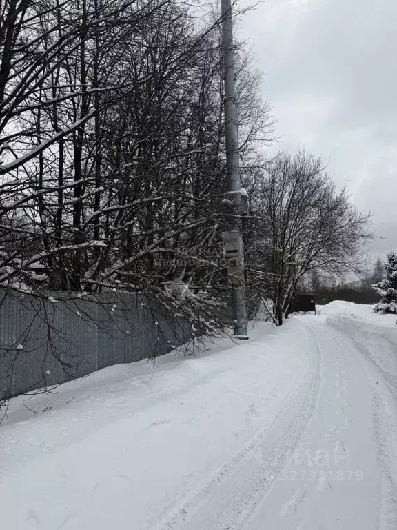 Участок в Московская область, Пушкинский городской округ, с. ... - Фото 2
