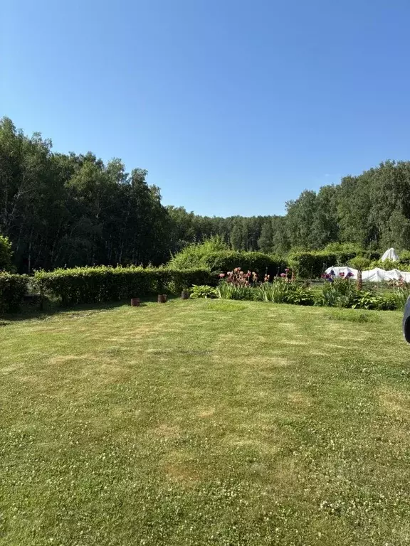 Участок в Новосибирская область, Бердск Волна СНТ, ул. Береговая (10.0 ... - Фото 2