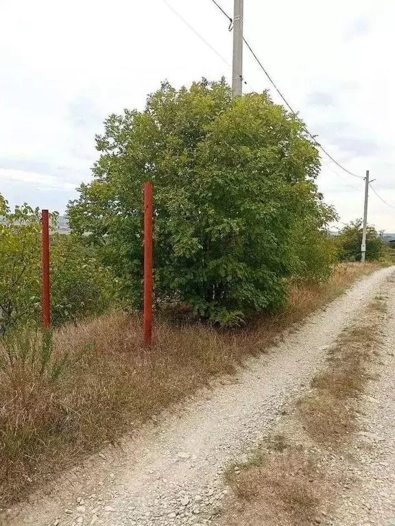 Участок в Краснодарский край, Новороссийск муниципальное образование, ... - Фото 0