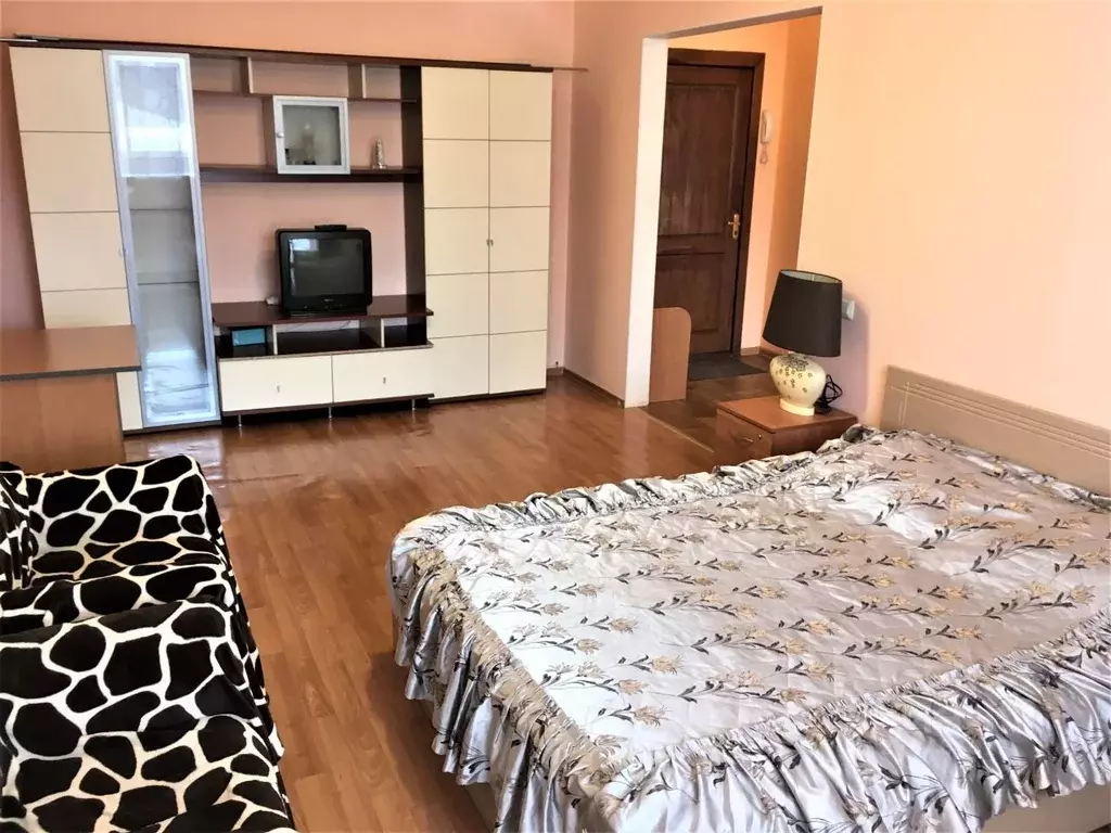 1-к кв. Томская область, Томск ул. Розы Люксембург, 19 (42.0 м) - Фото 2