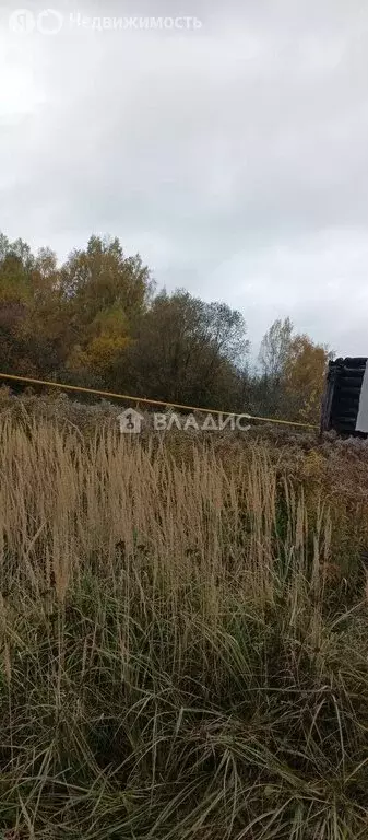 Участок в Владимирская область, Камешковский муниципальный округ, ... - Фото 0