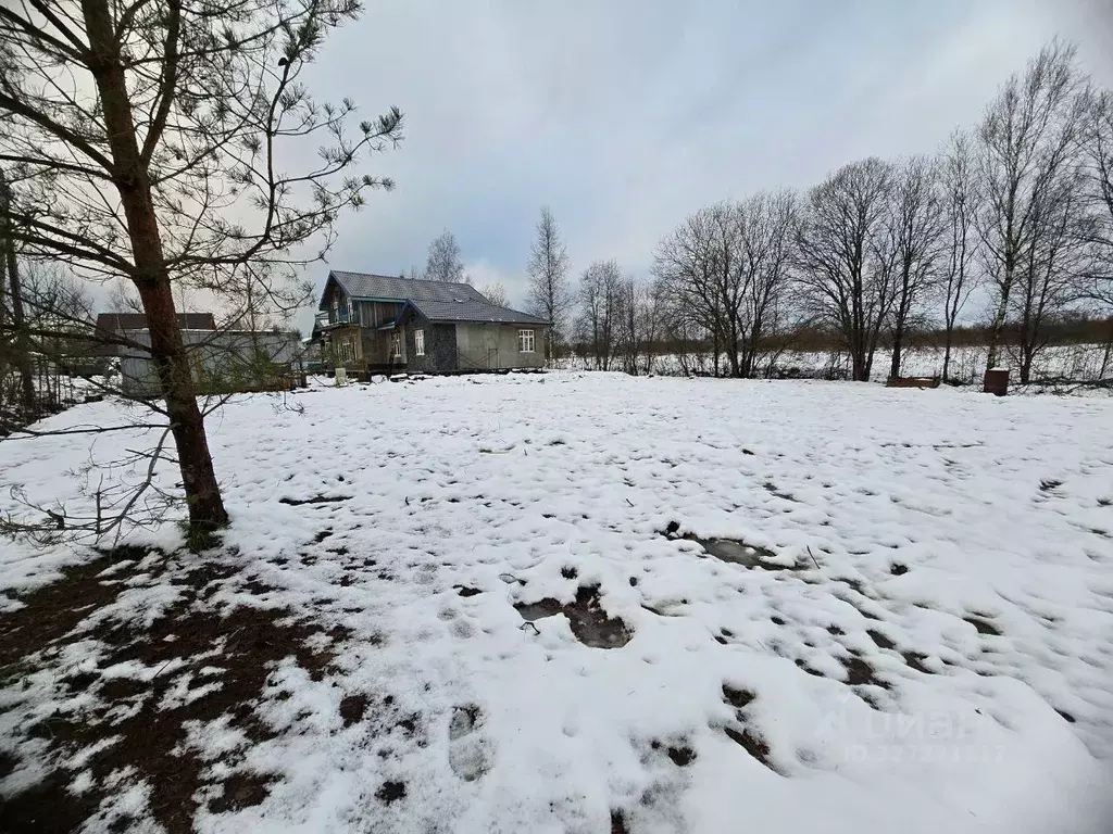 Участок в Ленинградская область, Ломоносовский район, Пениковское ... - Фото 1