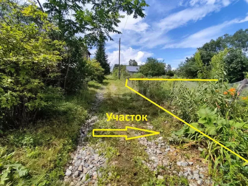 Участок в Приморский край, Надеждинский район, Лотос-1 СНТ  (6.0 сот.) - Фото 0