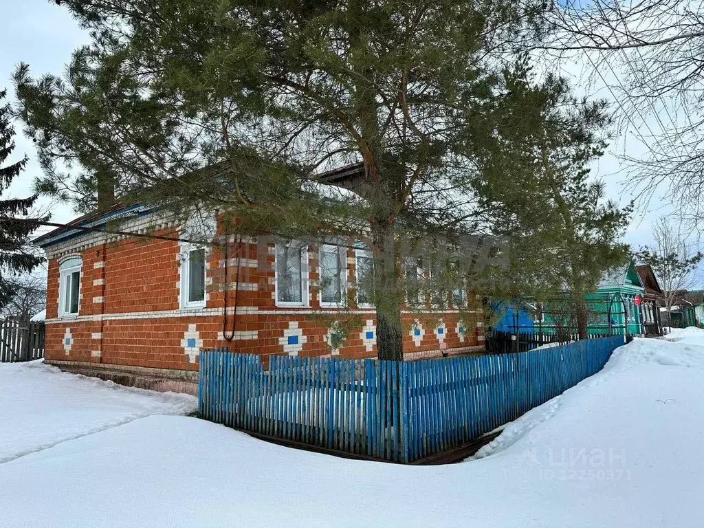 Дом в Нижегородская область, Арзамас городской округ, с. Ветошкино ул. ... - Фото 1