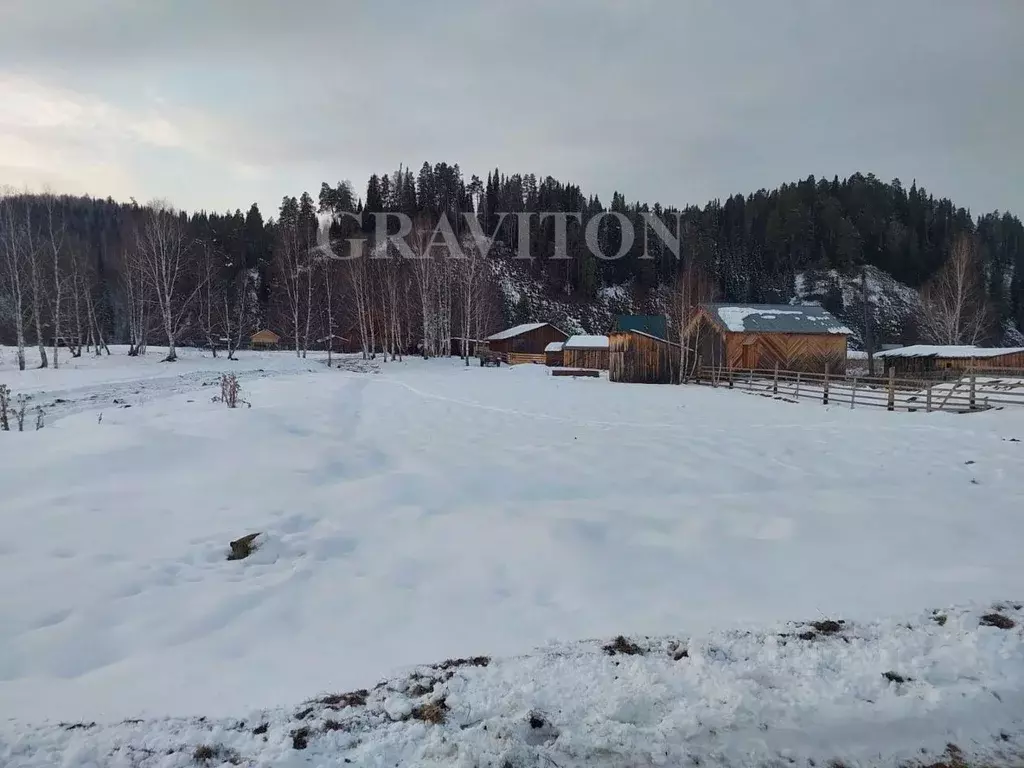 Участок в Алтай, Чойский район, с. Паспаул Лесная ул. (9.0 сот.) - Фото 1