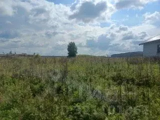 Участок в Свердловская область, Белоярский муниципальный округ, д. ... - Фото 1