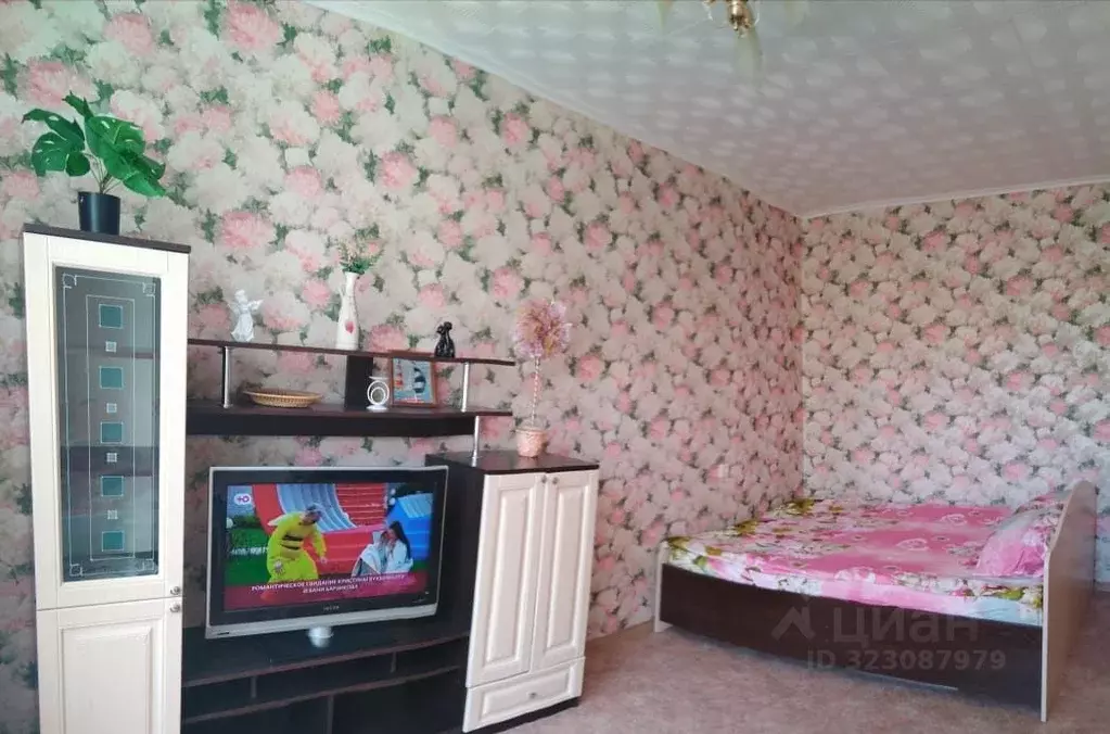 1-к кв. Новосибирская область, Новосибирск ул. Динамовцев, 10 (29.0 м) - Фото 2