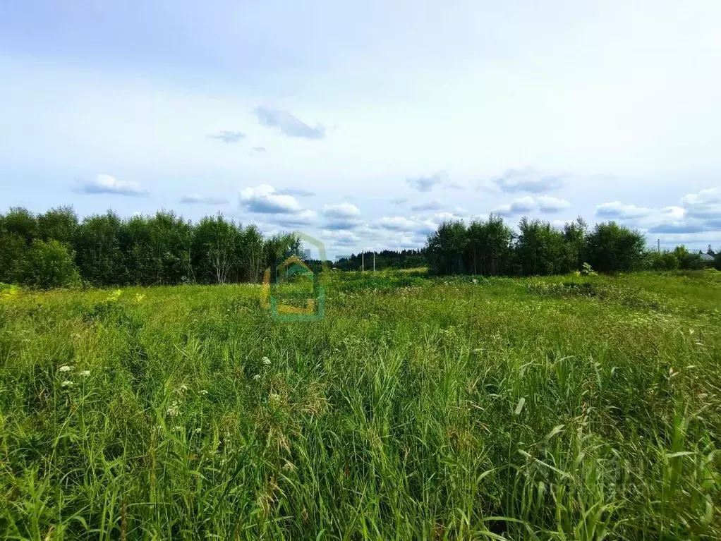 Участок в Ленинградская область, Ломоносовский район, Гостилицкое ... - Фото 0