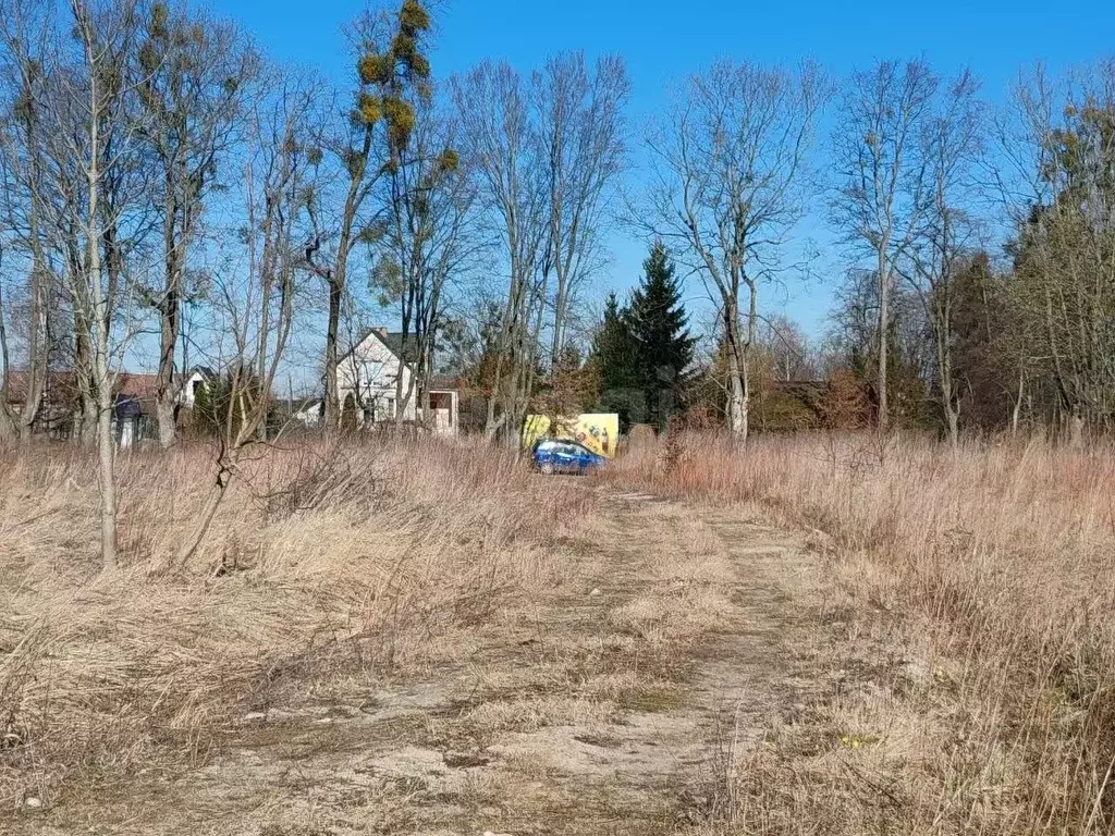 Участок в Калининградская область, Гурьевский муниципальный округ, ... - Фото 1