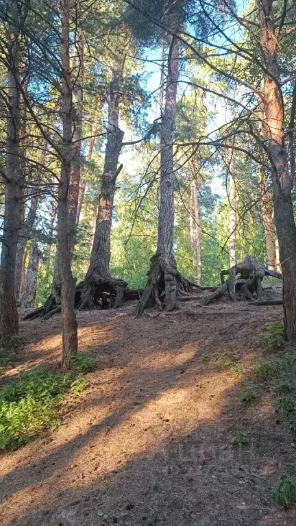 Коттедж в Рязанская область, Рязань Лесная ул. (160 м) - Фото 0