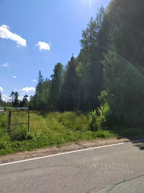 Участок в Ленинградская область, Выборгский район, Красносельское ... - Фото 1