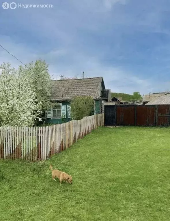 Дом в деревня Калы, улица Гагарина, 5 (63.2 м) - Фото 1