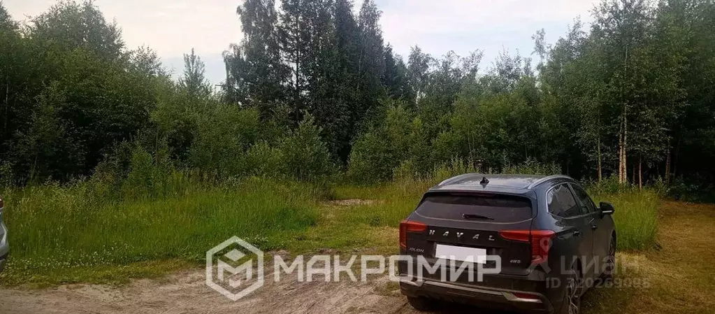 Участок в Ханты-Мансийский АО, Сургут Ручеек садовое товарищество, ул. ... - Фото 1