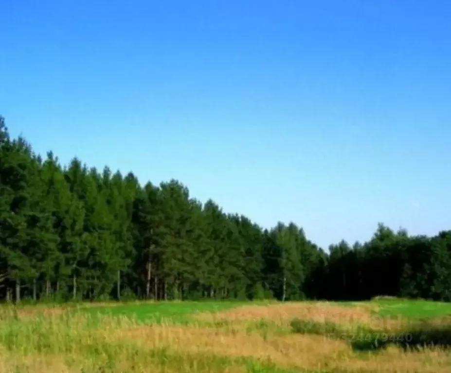 Участок в Тульская область, Дубенский район, Воскресенское с/пос, с. ... - Фото 1