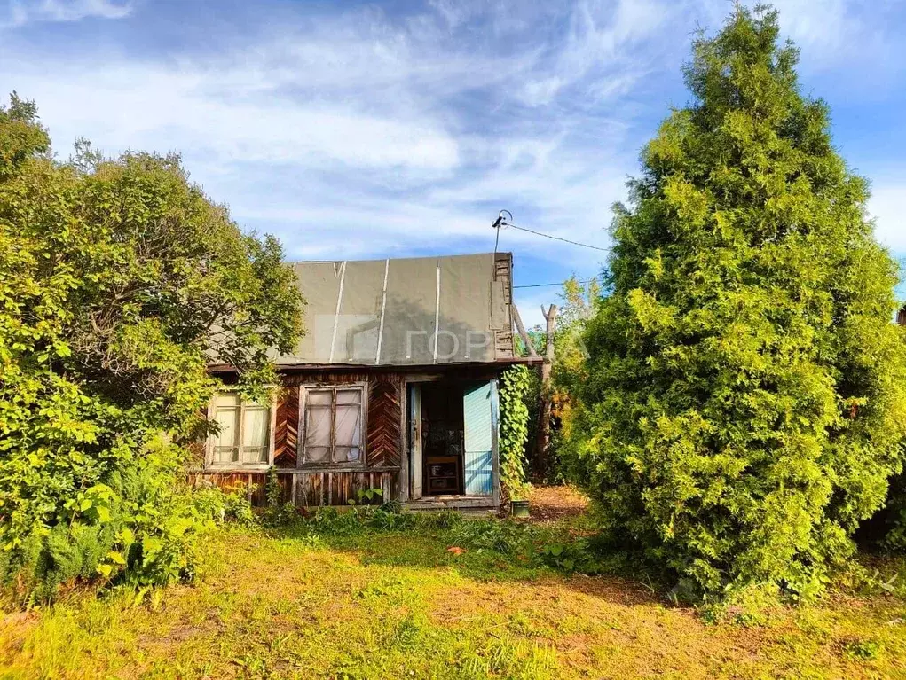 Участок в Новосибирская область, Новосибирск Золотая Горка СНТ, аллея ... - Фото 0