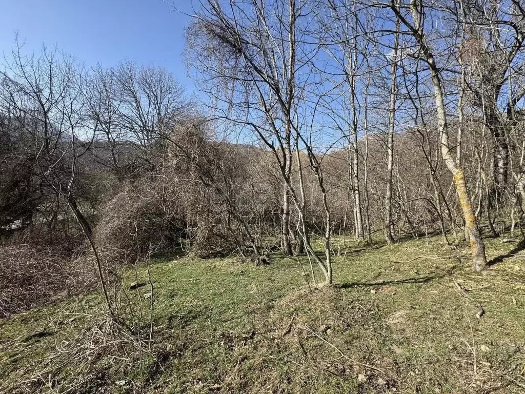 Участок в Крым, Алушта городской округ, с. Лучистое  (176.0 сот.) - Фото 0