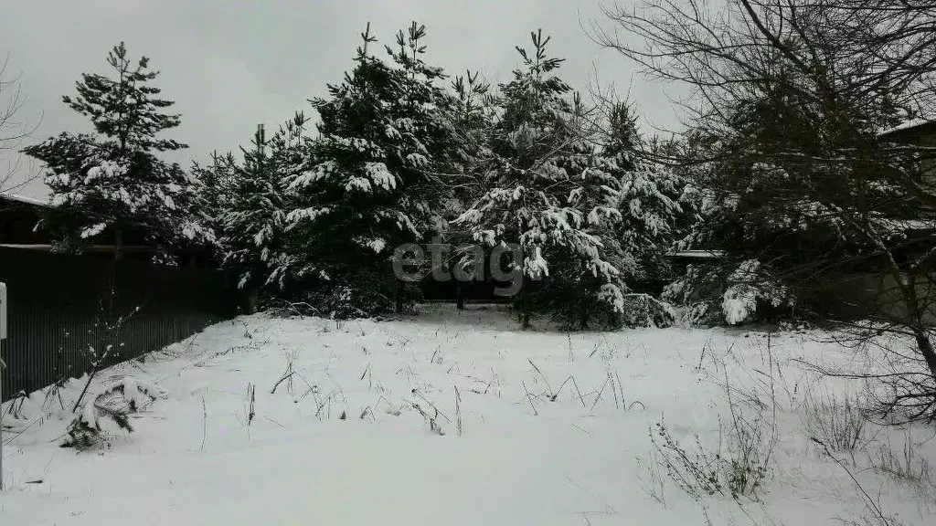 Участок в Воронежская область, Воронеж ул. Розовая (8.0 сот.) - Фото 1