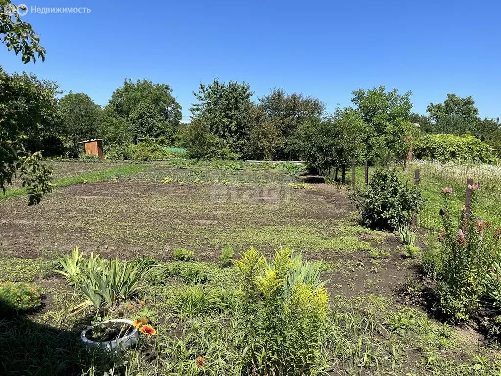 Дом в Мелиховское сельское поселение, село Дальняя Игуменка (32 м) - Фото 2