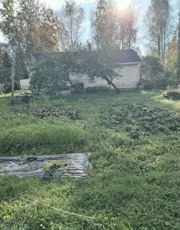Дом в Ленинградская область, Тосненский район, Рябовское городское ... - Фото 1