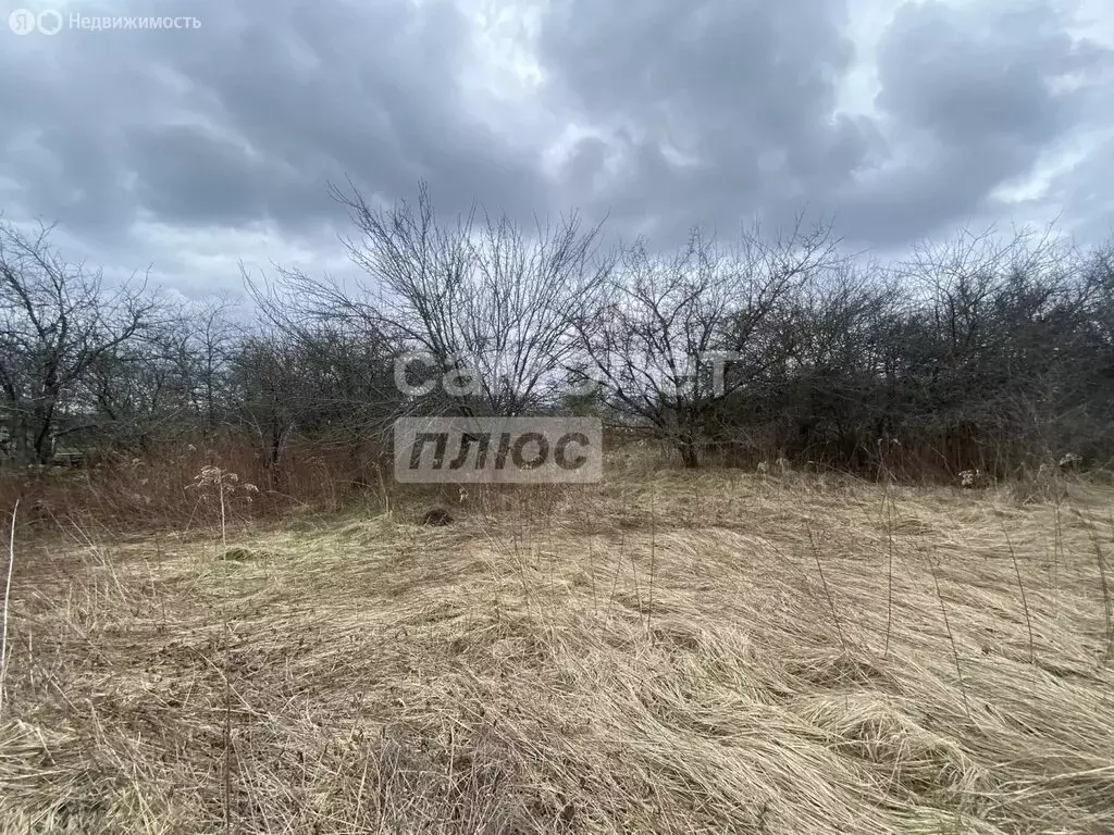 Участок в Курский район, Моковский сельсовет (9.78 м) - Фото 2