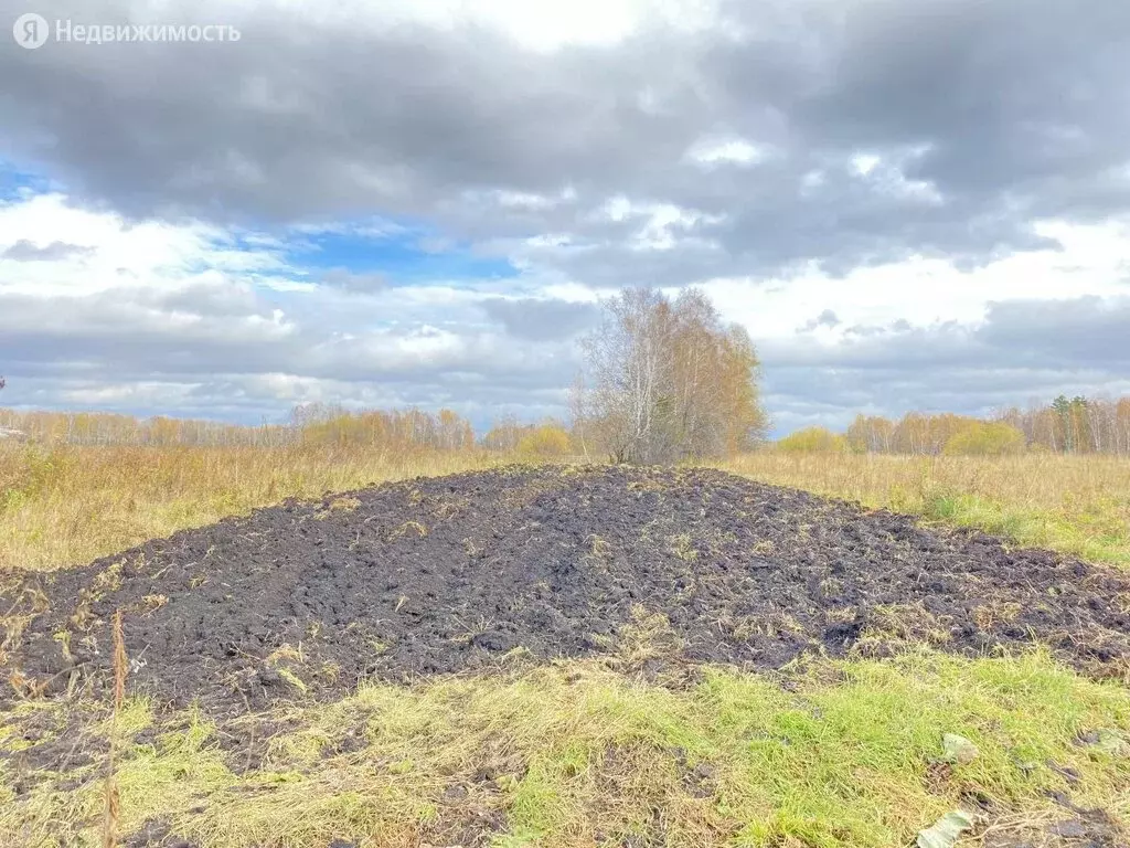 Купить Дом В Уярском Районе Красноярского Края