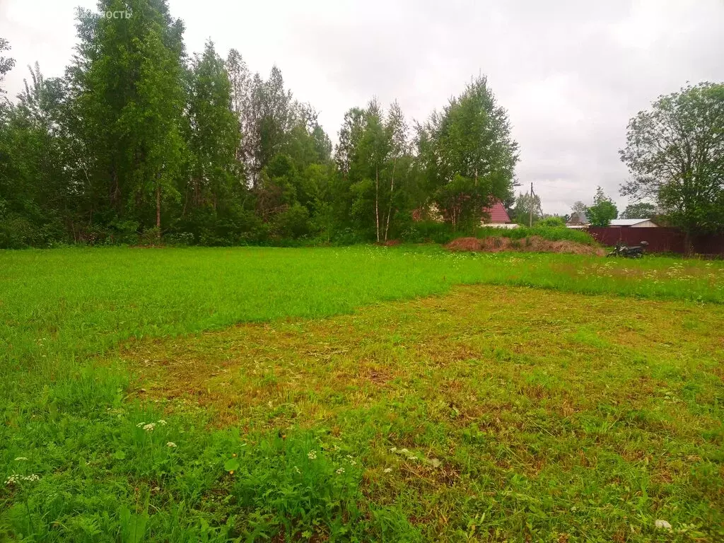Участок в Будогощское городское поселение, деревня Могилёво (10 м) - Фото 0