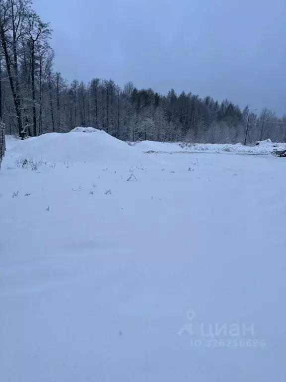 Участок в Московская область, Орехово-Зуево проезд Сосновый (6.0 сот.) - Фото 2