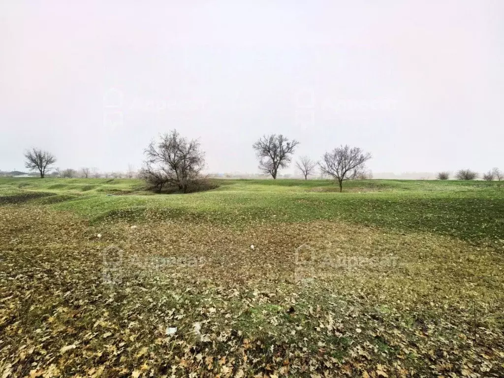 Участок в Волгоградская область, Среднеахтубинский район, Фрунзенское ... - Фото 2