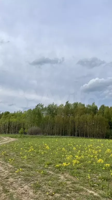 Участок 10 сот. (СНТ, ДНП) - Фото 0