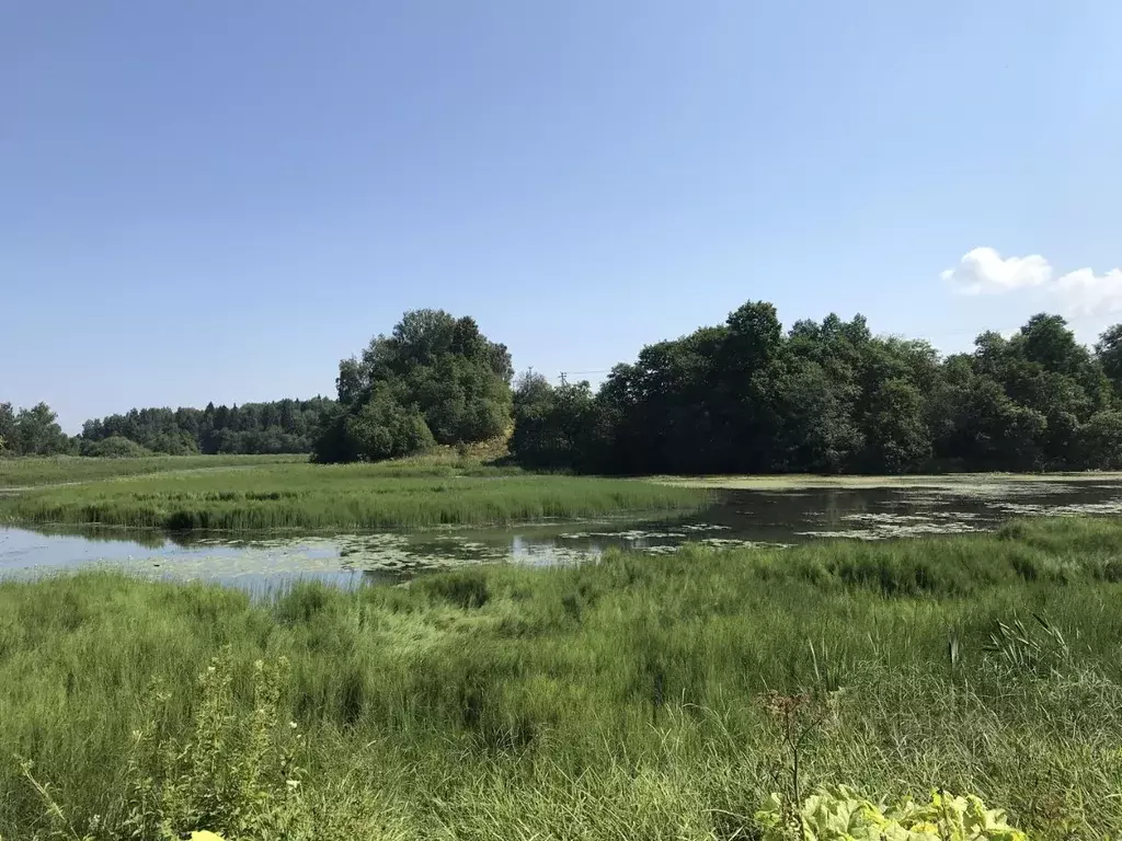 Участок в Московская область, Пушкинский городской округ, с. Тишково, ... - Фото 1