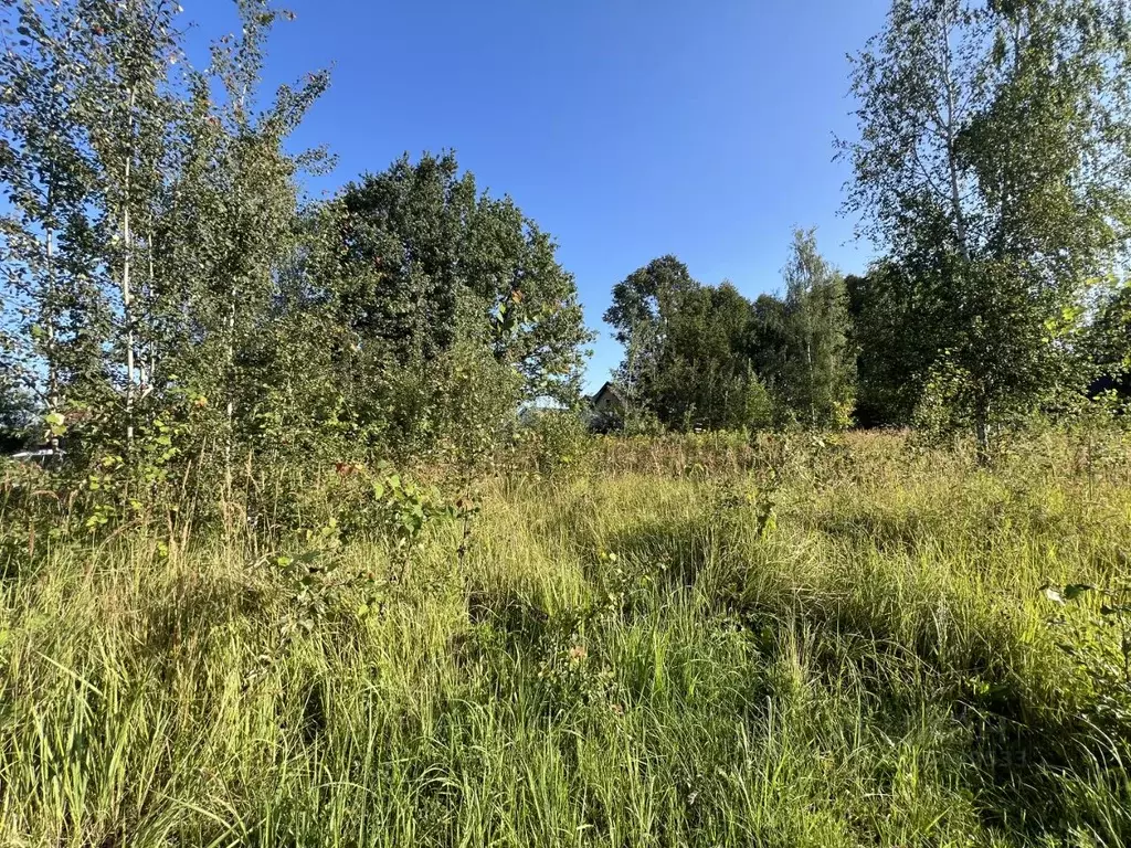 Участок в Калужская область, Жуковский муниципальный округ, Чубарово ... - Фото 2