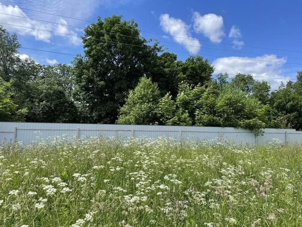 Участок в Московская область, Солнечногорск городской округ, д. ... - Фото 1