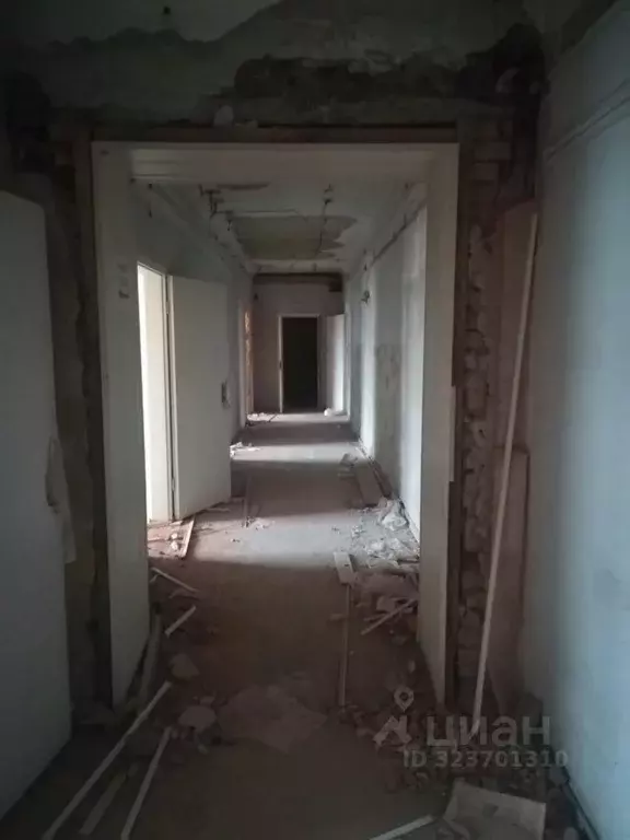 Помещение свободного назначения в Новосибирская область, Новосибирск ... - Фото 1