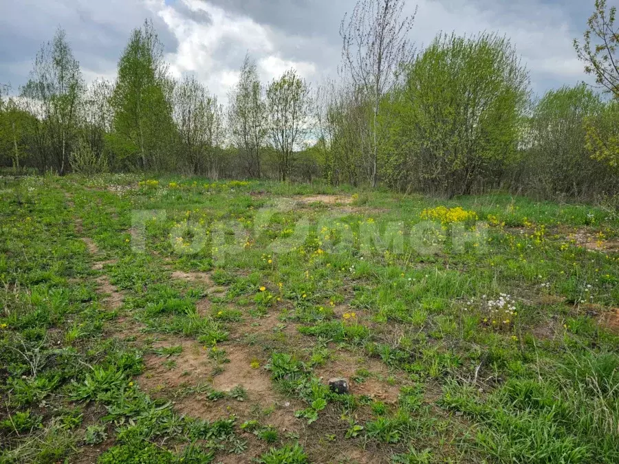 Продается участок в д. Жостово - Фото 1