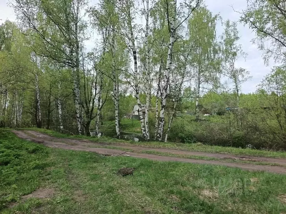 Дом в Нижегородская область, Дивеевский муниципальный округ, Мотор ... - Фото 2