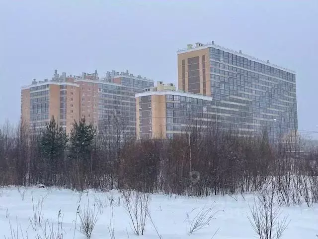 Студия Ленинградская область, Всеволожск ш. Дорога Жизни, 7к2 (19.9 м) - Фото 0