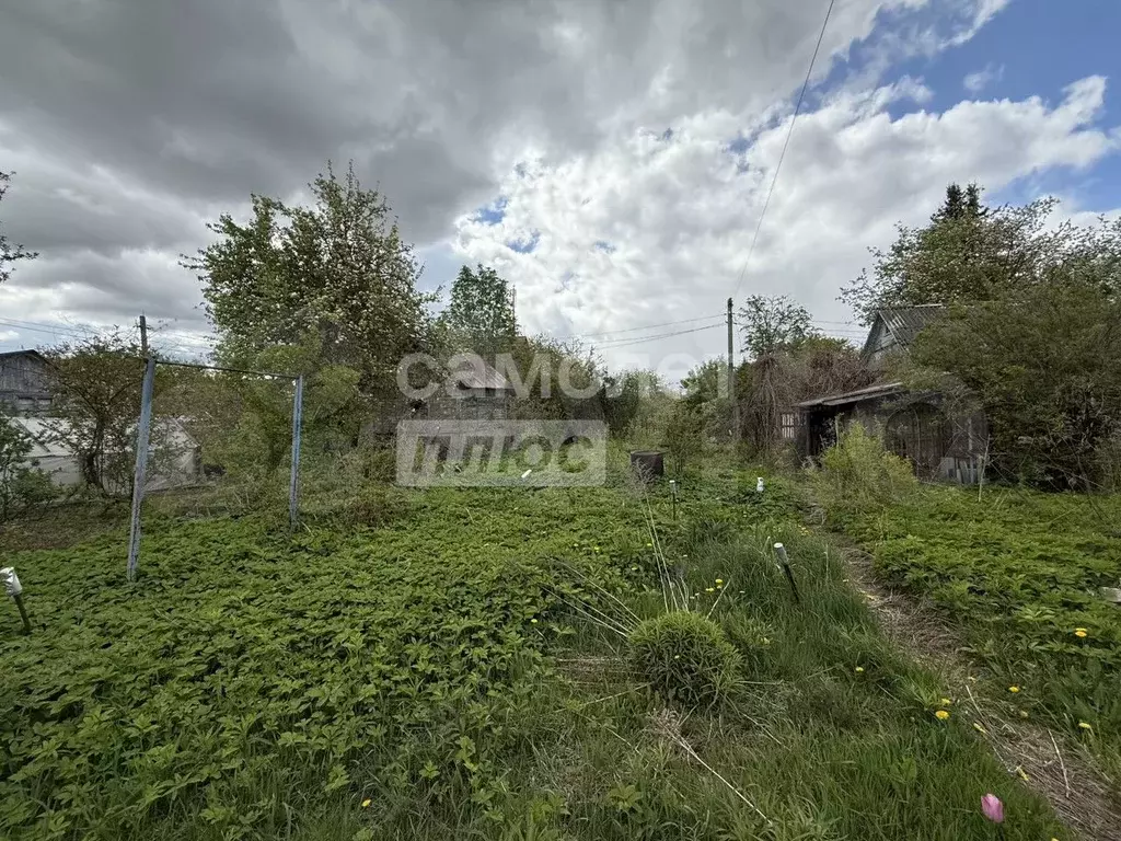 Дача 50 м на участке 6 сот. - Фото 0