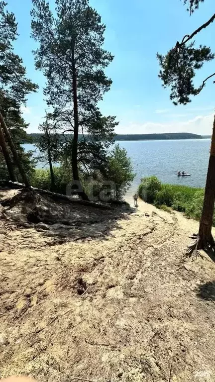 Участок в Свердловская область, Тугулымский муниципальный округ, д. ... - Фото 1