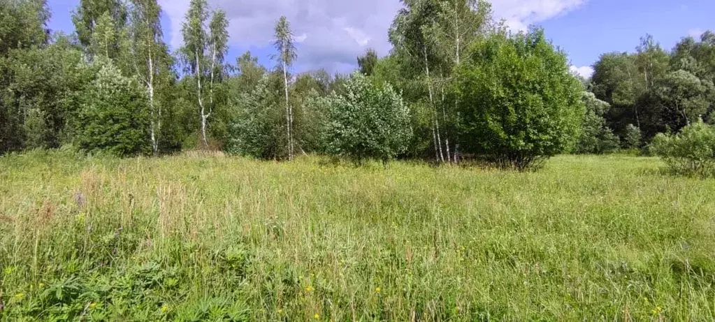 Участок в Московская область, Солнечногорск городской округ, д. ... - Фото 1