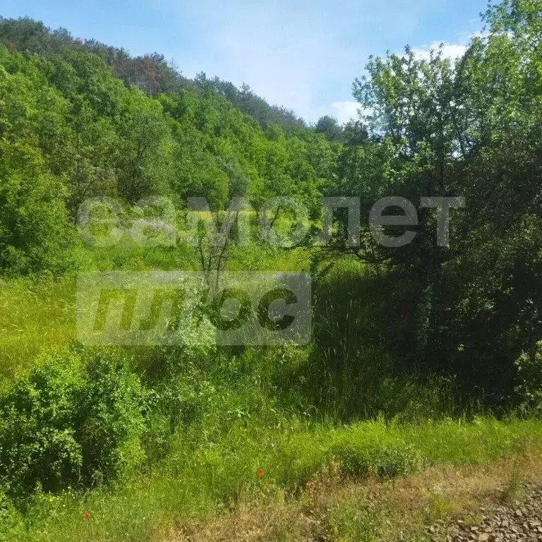 Участок в Севастополь Район Северная сторона,  (20.0 сот.) - Фото 2
