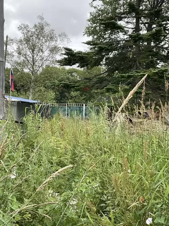 Участок в Сахалинская область, Анивский городской округ, с. Троицкое, ... - Фото 0