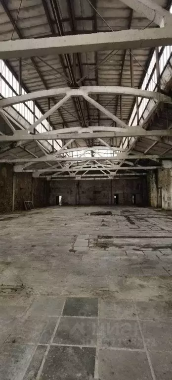 Склад в Московская область, Раменский муниципальный округ, д. Кузяево ... - Фото 2